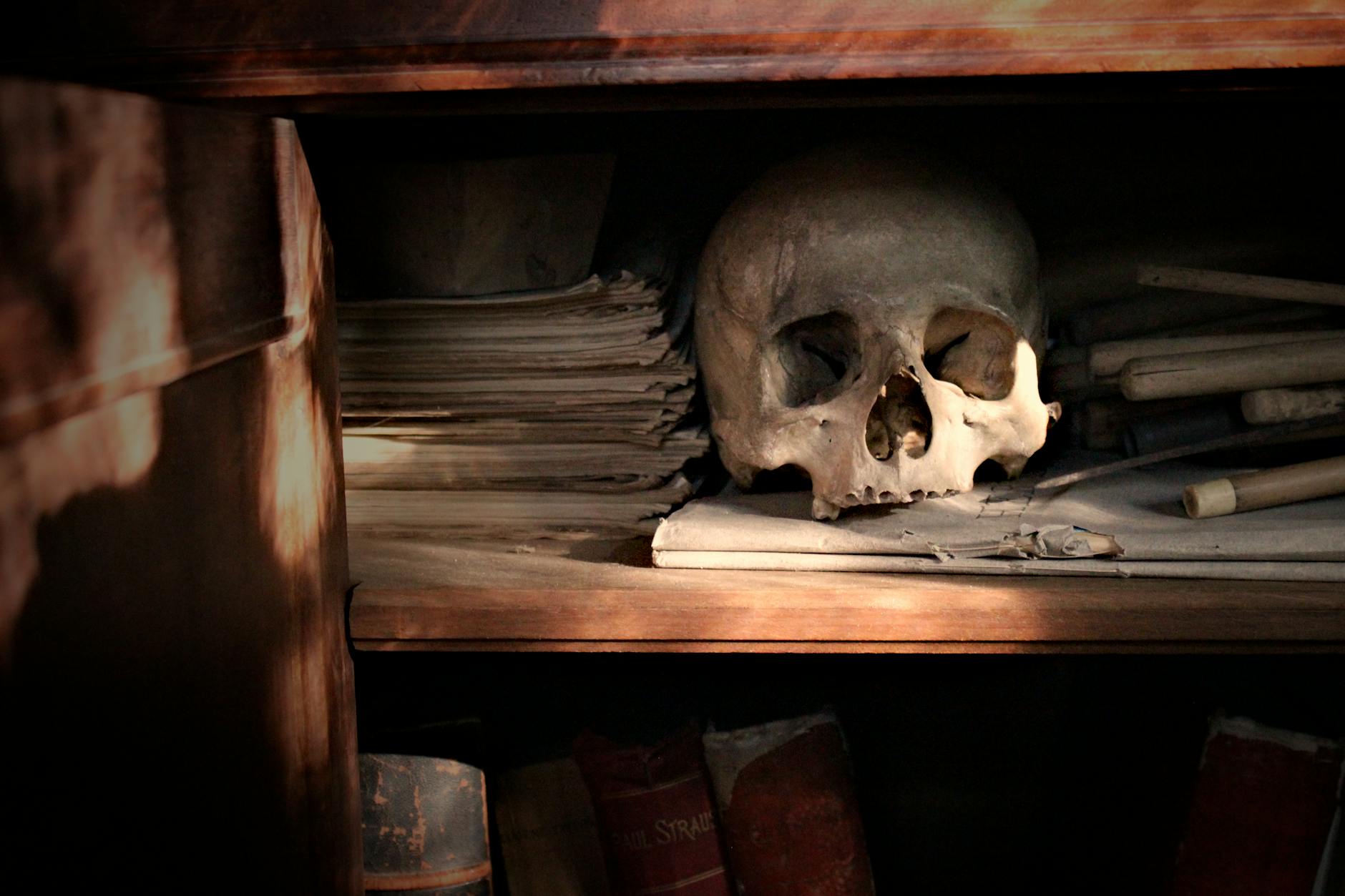 Czaszka wśród starych ksiąg na półce w klimacie dark academia