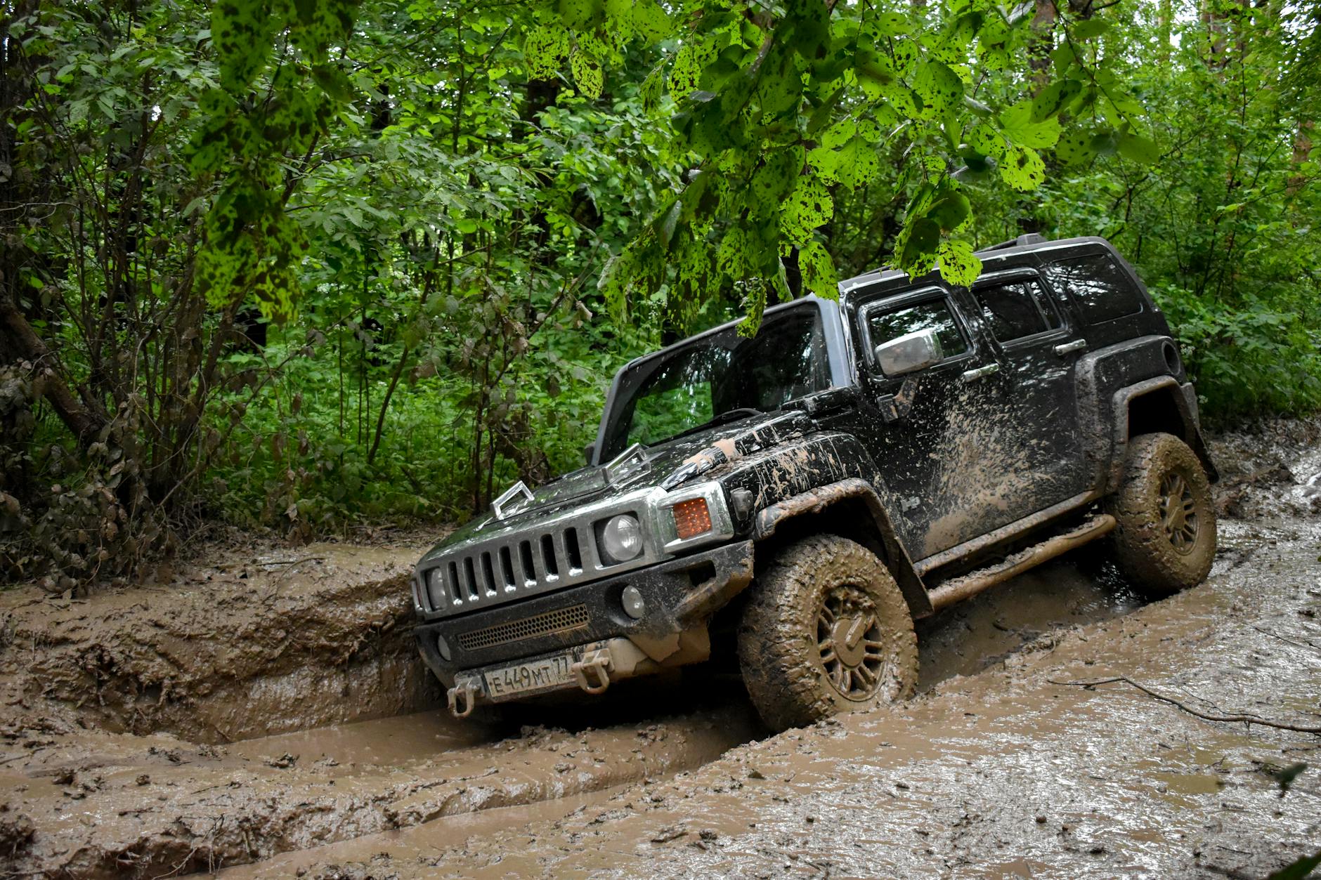 Land Rover jedzie po błotnistym, leśnym szlaku off-roadowym